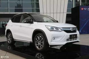 国产混动车,国产混动车的崛起与未来展望